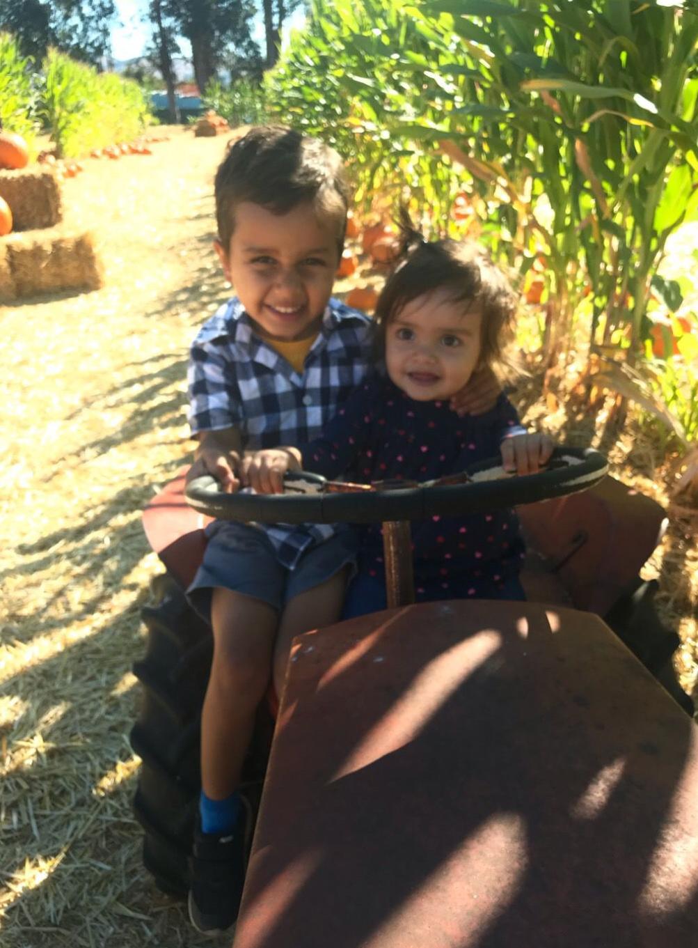 Picking Pumpkins 2019